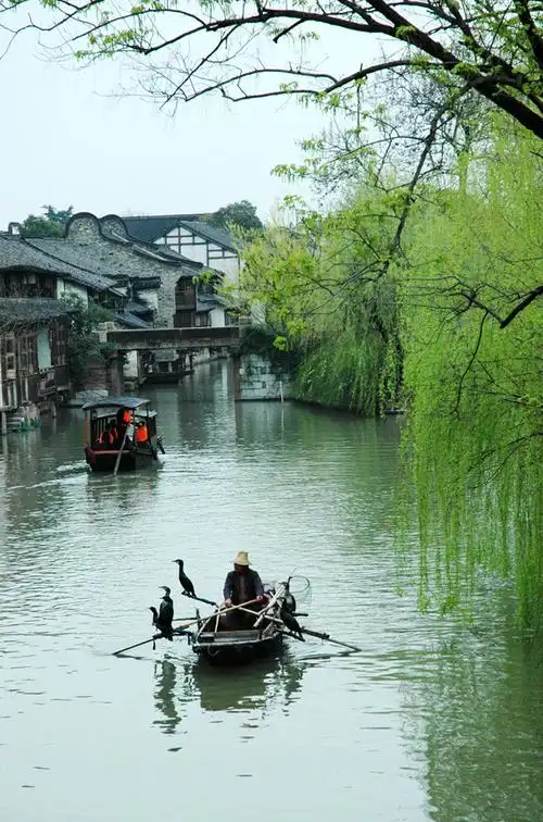 垂柳依依小桥流水怡然自得
