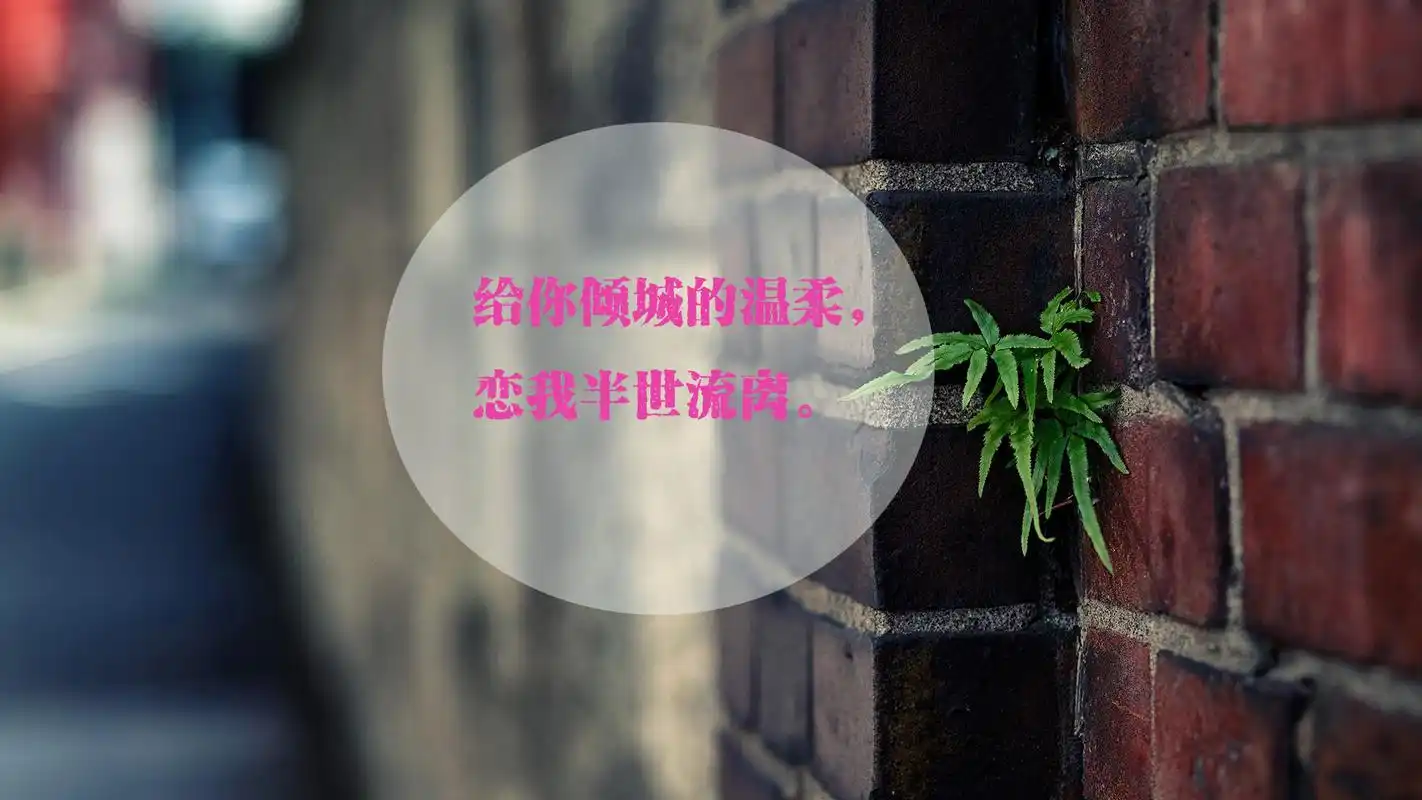 唯美经典语录文字高清电脑桌面主题壁纸图片下载