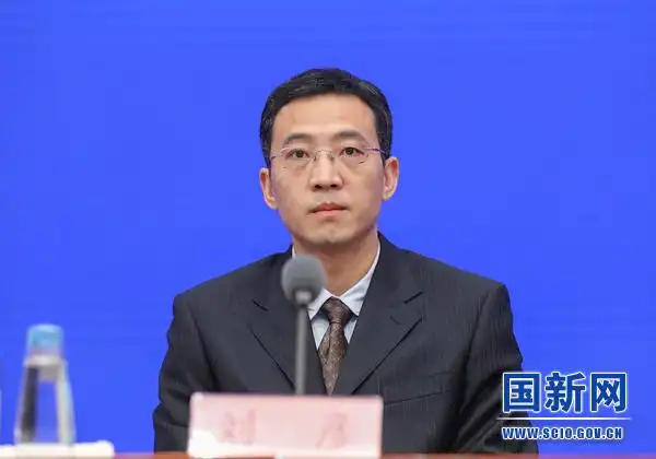 自然资源部自然资源开发利用司负责人刘彦