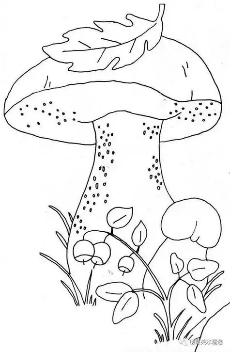 即使是最基本的简笔画和儿童画在上色之前一定要先画出线稿线条是最