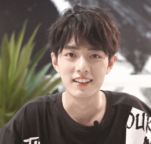 【存图楼】肖战:喜欢你微笑的样子