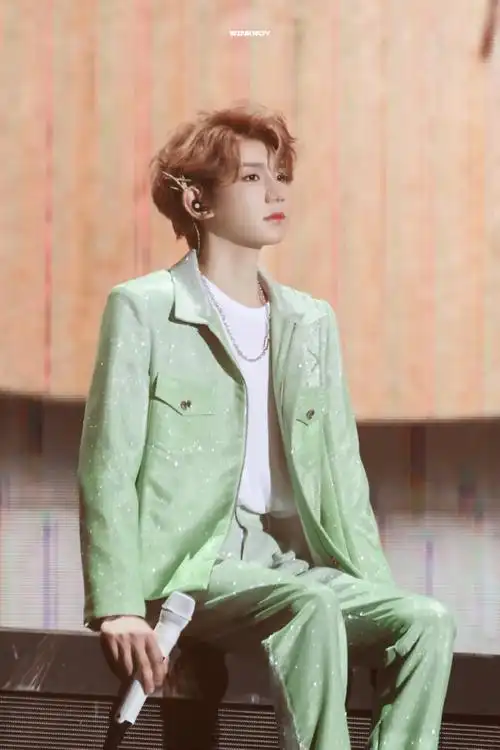 王源超话#与王源十年璀璨共往#王源 | tfboys十周年演唱会发夹坠入梦