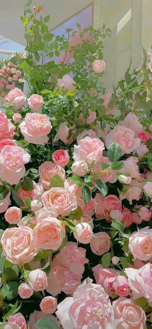 清新治愈壁纸|生活是感受的同义词_cr_网络_什么