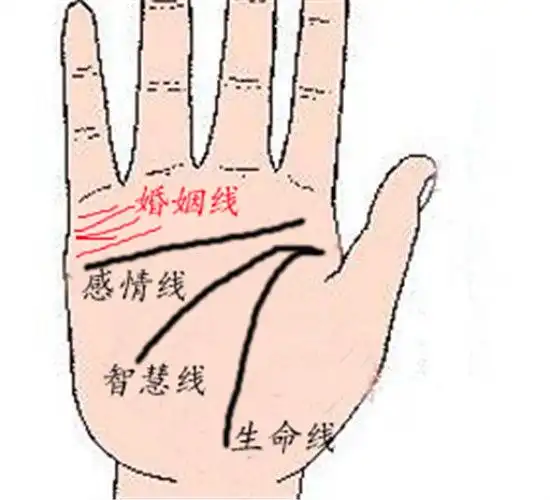 图解女性婚姻线看运势 爱情线分离的人情路坎坷