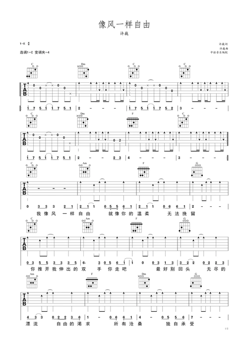 像风一样自由许巍初级吉他谱