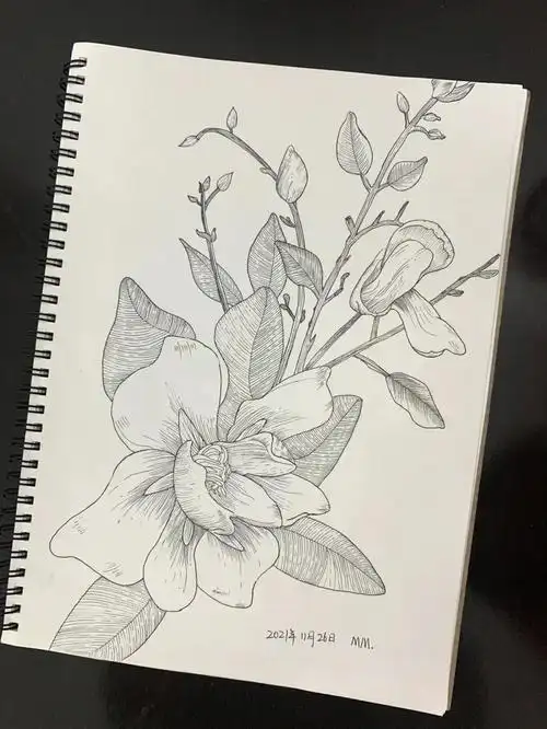 控笔第74天零基础学画画针管笔临摹