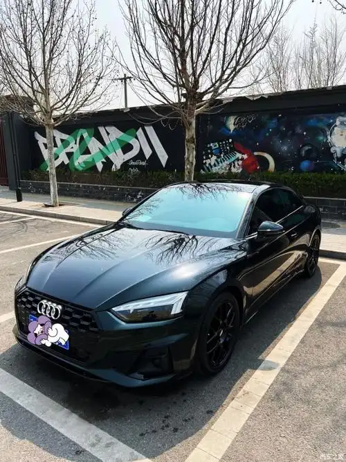 22款a5,40双门coupe_奥迪a5论坛_汽车之家论坛