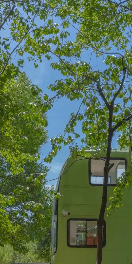 壁纸 | 招桃花运的ins风壁纸