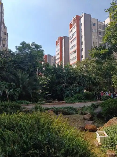 西部客运站旁怡芳苑二期精装电梯三房两厅出售