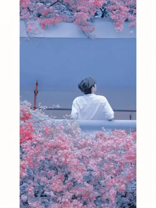 植物园和弘法寺,在植物园入口的停车场,很多人在拍照,这个白衬衫小哥