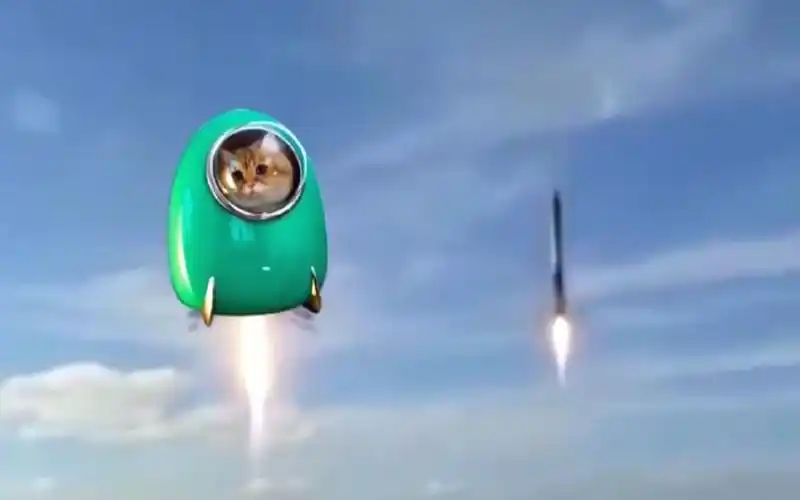 建议改成b站第一只坐火箭上天的猫