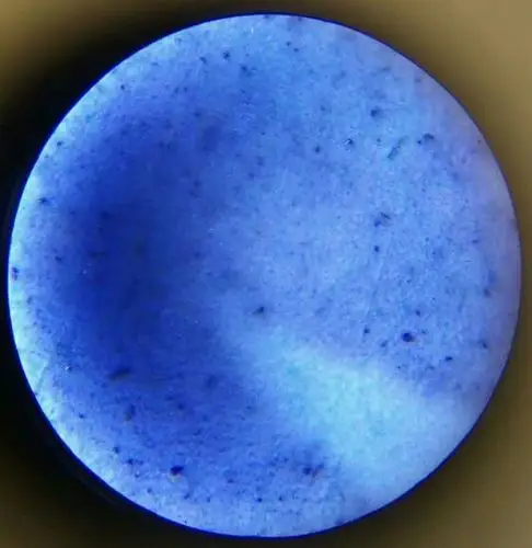 写美篇大清雍正年制珐琅彩九桃赏瓶一对附微观照片 清雍正珐琅彩蓝料