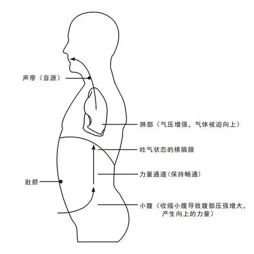 唱歌的气息系统和咬字系统是怎么协作的?