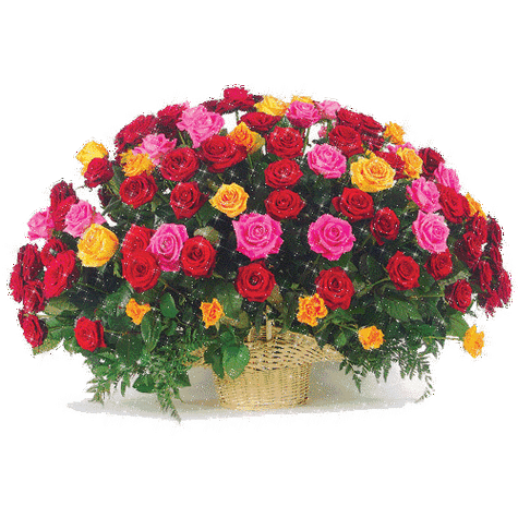 500_500gif 动态图 动图