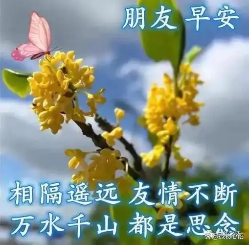 唯美的早上好祝福表情图片,吉祥如意,幸福安康!