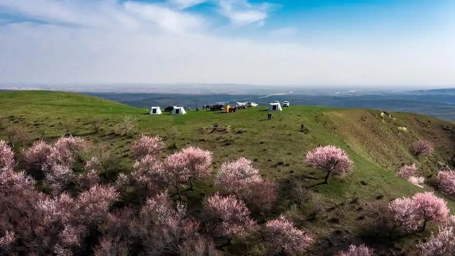 新疆福寿山杏花沟大西沟