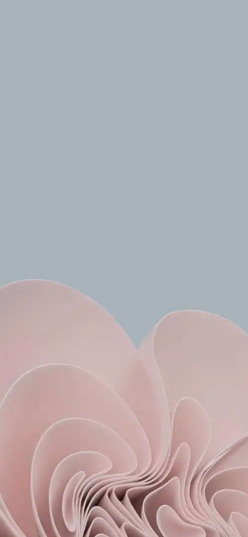 全面屏壁纸来啦!