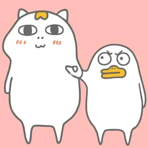 我最爱的表情包  #小刘鸭  #情侣头像