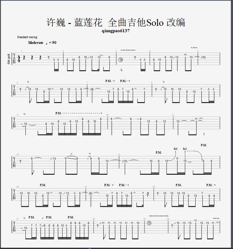 许巍《蓝莲花》改编solo曲全谱 电子版 伴奏 谱
