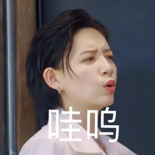 李斯丹妮表情包大楼