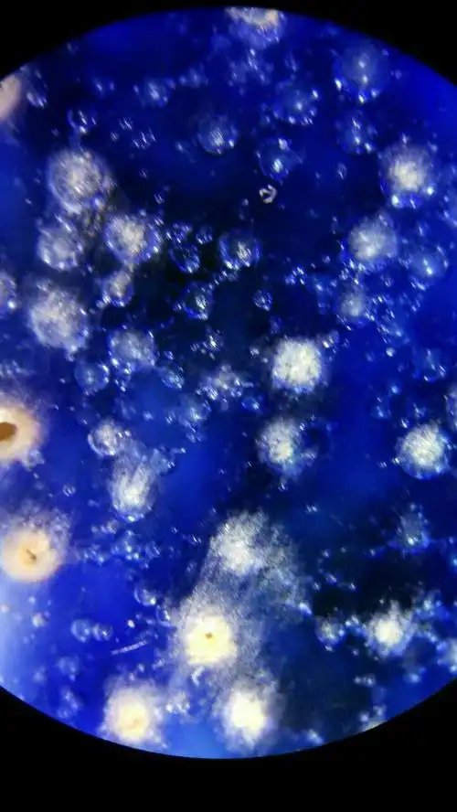 《古瓷气泡》超自然之美