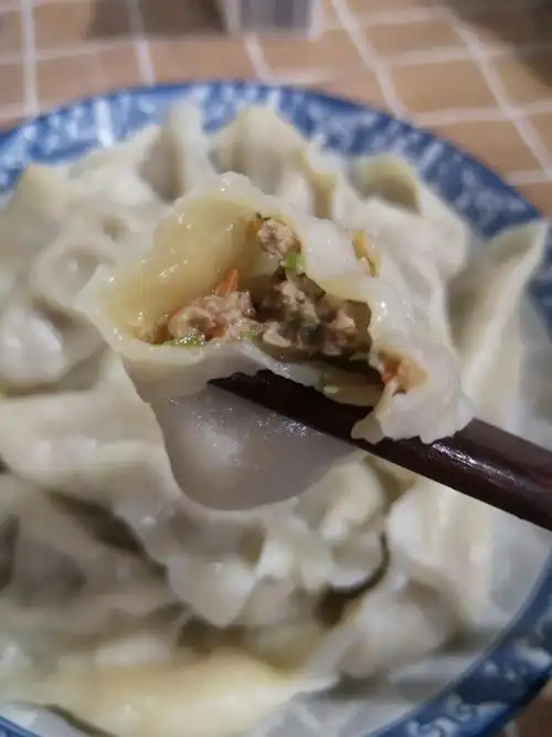 芹菜胡萝卜水饺牛肉芹菜胡萝卜水饺相关分类饺子随便看看该菜谱创建于