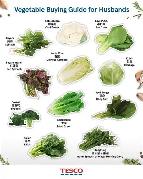 家常蔬菜有哪些品种蔬菜品种