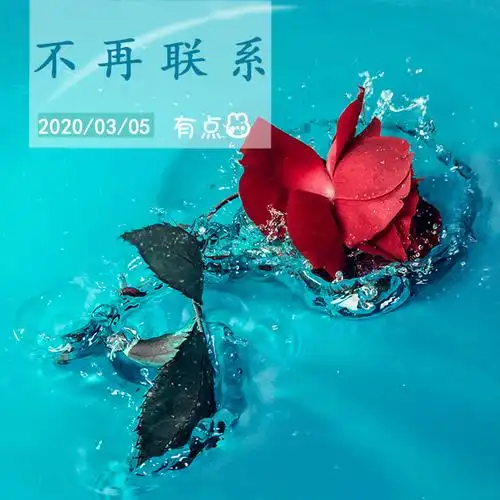 如果某一天我不再联系你了