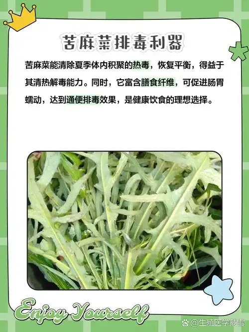 苦麻菜的作用与功效 家人们,有没有发现最近天气越来越热,身体也开始