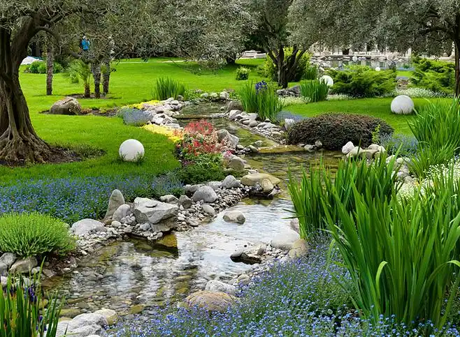 自然驳岸水景雨水花园