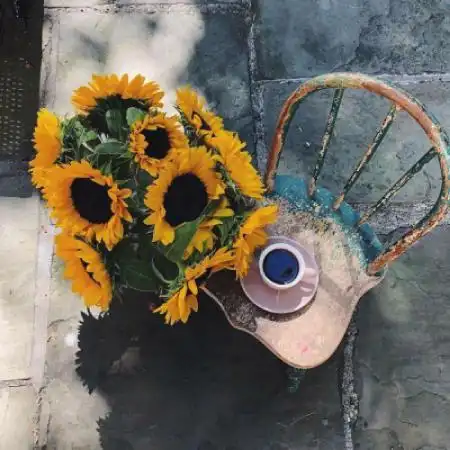 鲜花头像,好看唯美鲜花头像微信头像图片-个性头像