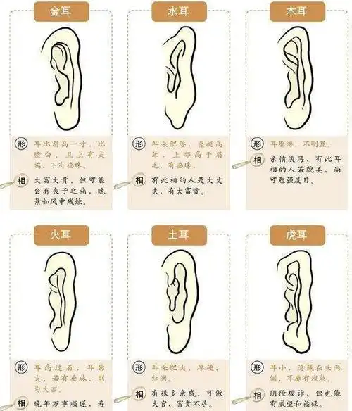 面相:耳朵可看福禄寿和事业成败!