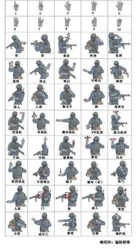 2019夏令营m少年将军上海军事营地721天青少年终极军事