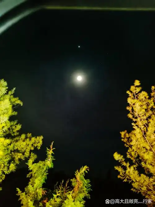 夜空中最亮的星与月亮的浪漫邂逅,它们交相辉映,仿佛诉说着千年的秘密
