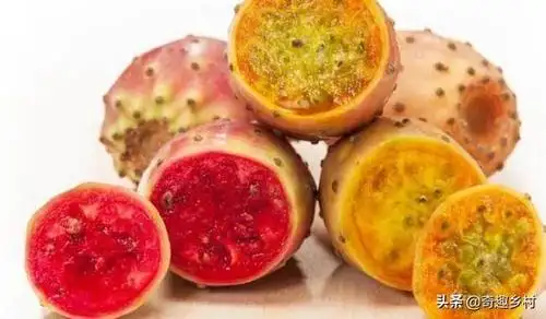 国内外41种不常见的奇葩水果你都知道哪些?吃过哪些?