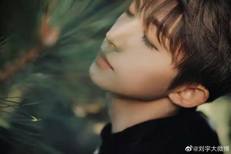 刘宇- 堆糖,美图壁纸兴趣社区