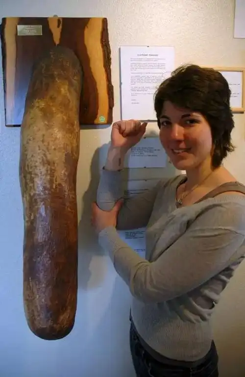 来了这里才会知道鞭长莫及啊这个博物馆的确举世无双从数量和种类来说