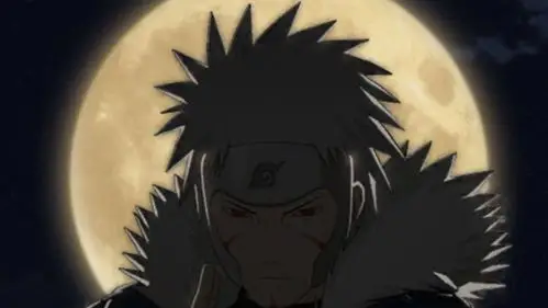 二呆今天吸焦了吗