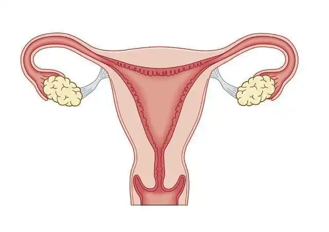 失去子宫后,相比正常女性有啥差别?妇科医生告诉您答案