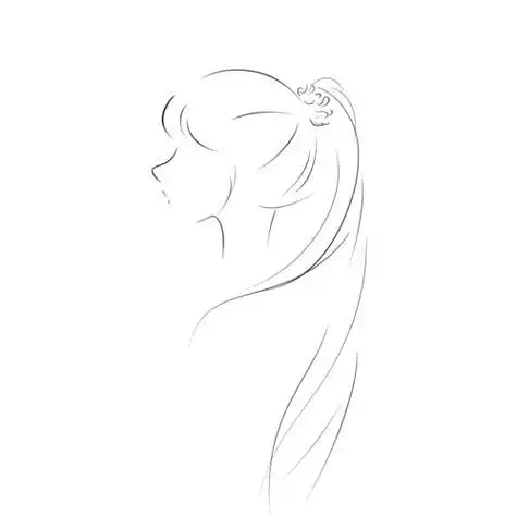 sai2简笔画简笔画女生头像高马尾红薯长发人文