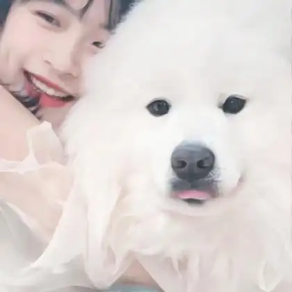 情侣头像对象是狗系列