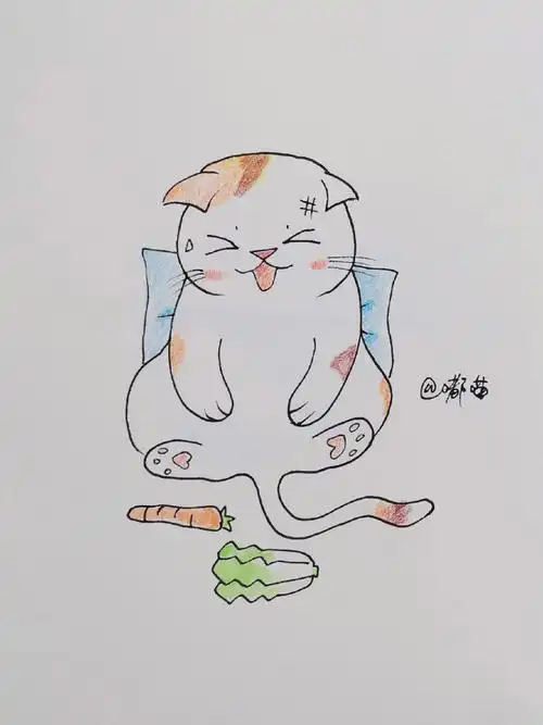可爱的猫咪简笔画教程50100