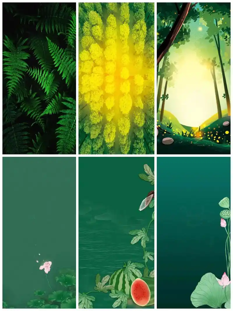 绿色小清新护眼手机壁纸背景图荷花壁纸