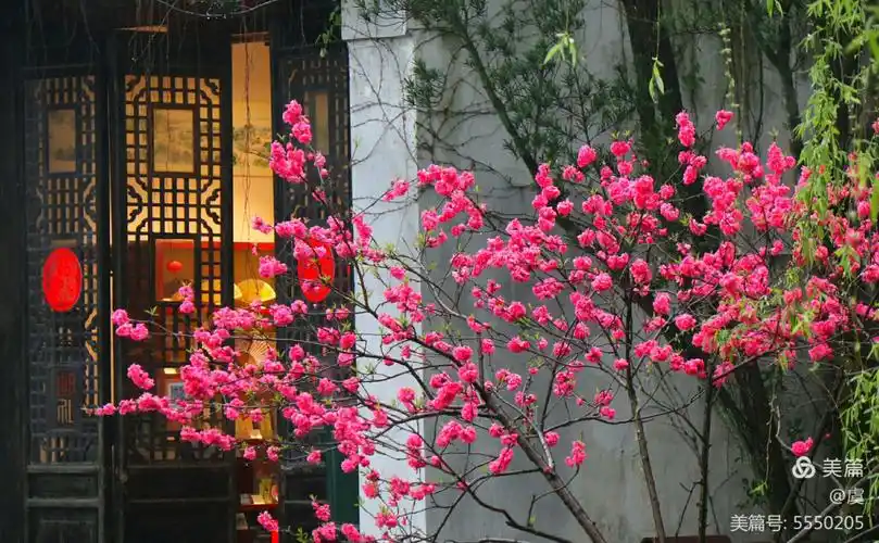 其它 桃花春雨江南 写美篇烟雨朦胧的江南里有桃红柳绿    烟雨朦胧的