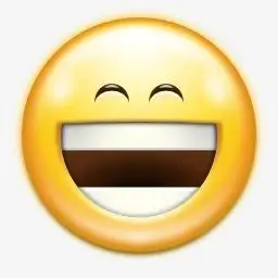 > 表情的脸笑的图标