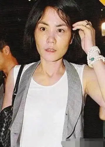 近日已经53岁的王菲发了一组生活照一人纳木措湖旅行太自在了