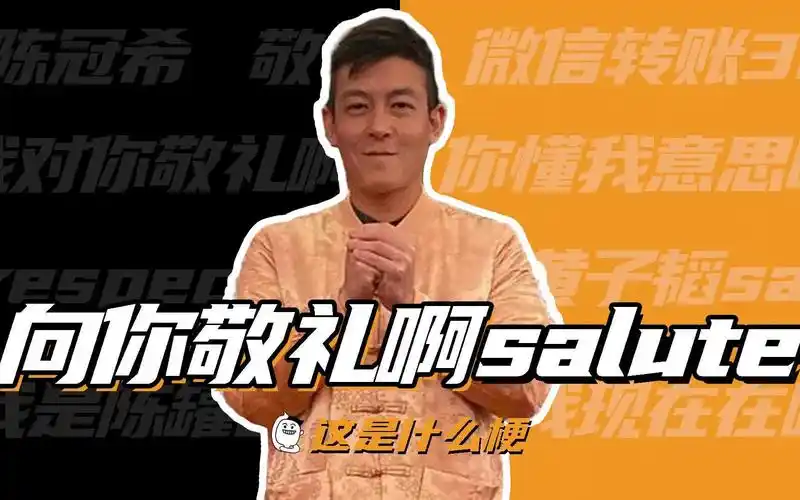 活动作品这是什么梗我向你敬礼啊salute啊