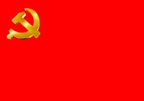 让党旗在抗疫一线高高飘扬