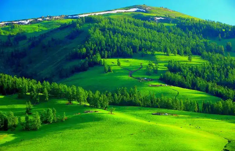 天堂般的绿色草原 神奇秀美令人向往