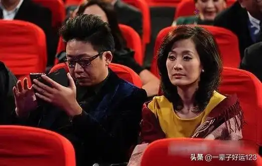 歌手舒悦个人资料 舒悦张宇峰家庭采访 - 歌词译